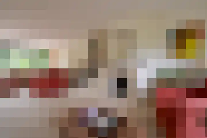 Van Houtenlaan 3 Huizen thumbnail 4