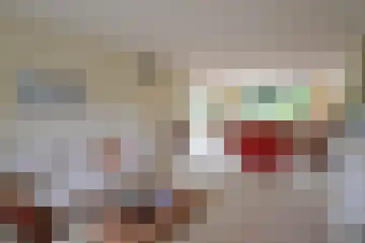 Van Houtenlaan 3 Huizen thumbnail 5
