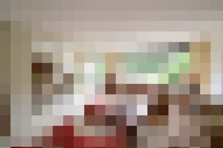 Van Houtenlaan 3 Huizen thumbnail 7