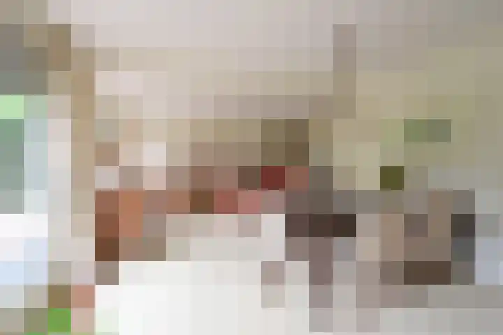 Van Houtenlaan 3 Huizen thumbnail 8