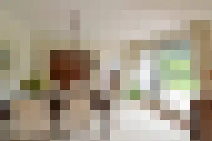 Van Houtenlaan 3 Huizen thumbnail 9