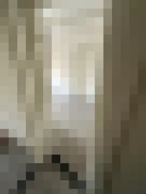 Van Houtenlaan 4 Groningen thumbnail 6