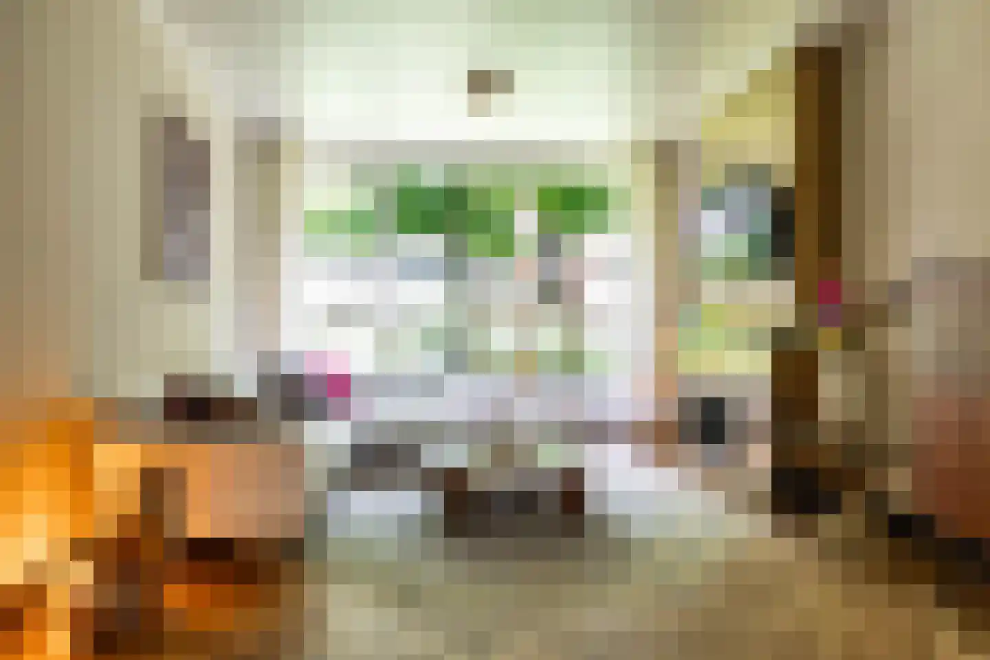 Van Houtenlaan 41 Groningen thumbnail 11