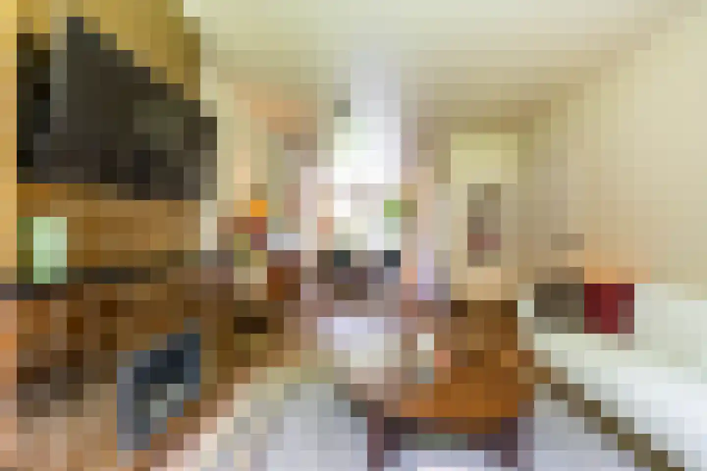Van Houtenlaan 41 Groningen thumbnail 17