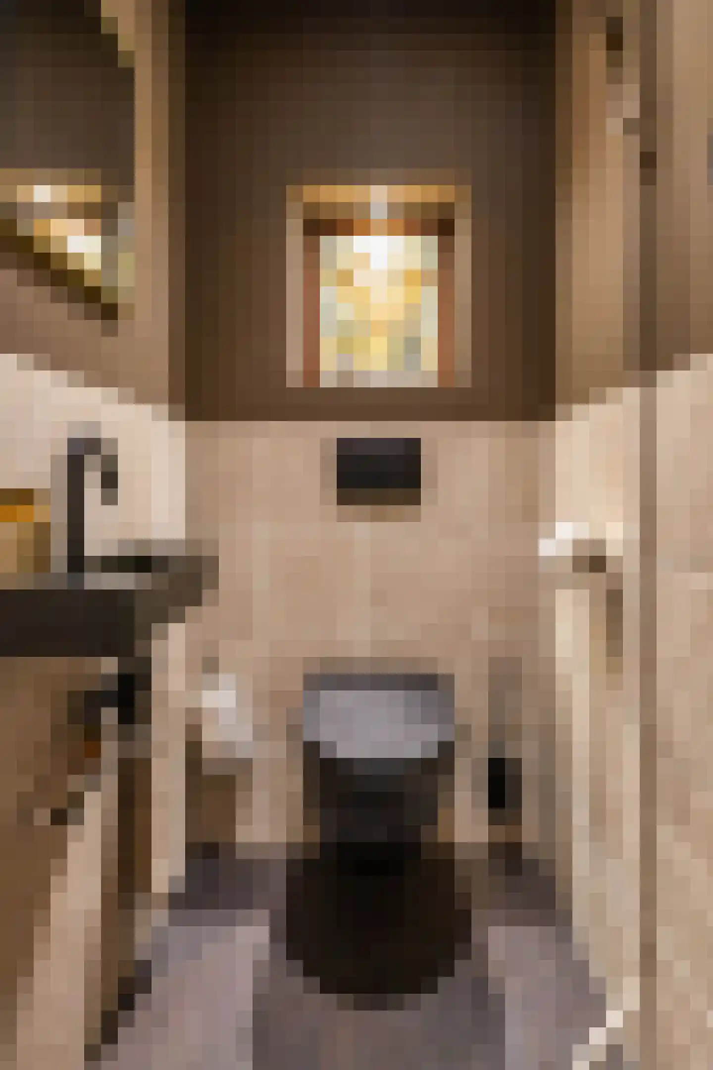Van Houtenlaan 41 Groningen thumbnail 28