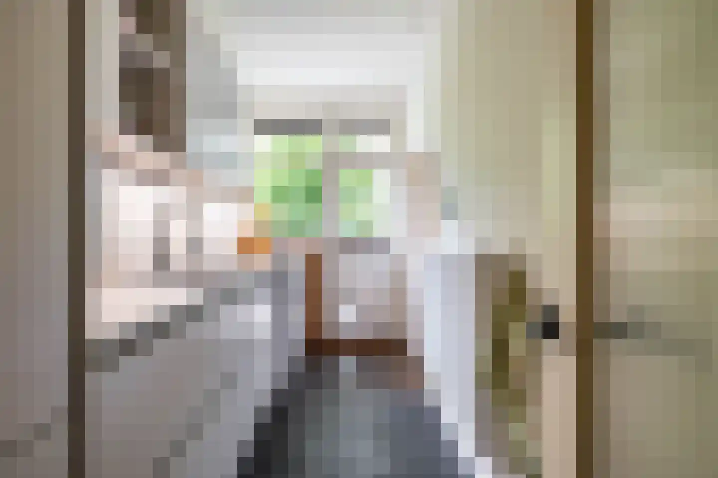 Van Houtenlaan 41 Groningen thumbnail 31