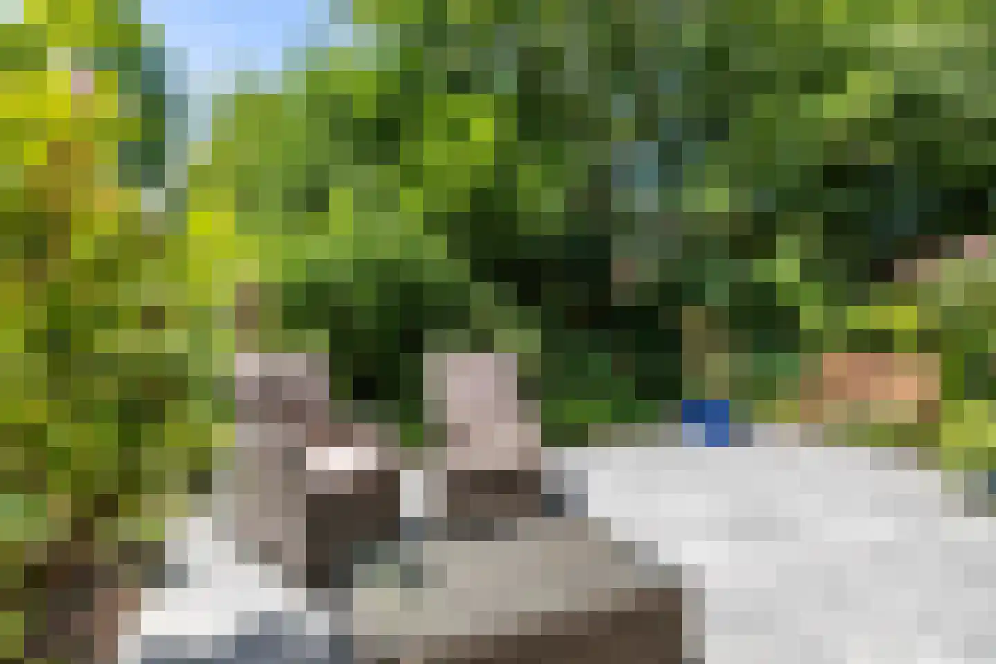 Van Houtenlaan 41 Groningen thumbnail 43
