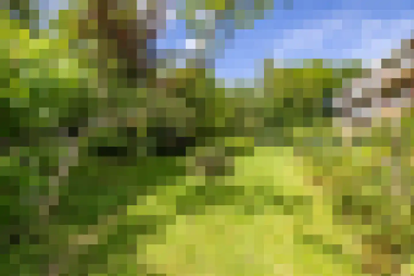 Van Houtenlaan 41 Groningen thumbnail 46