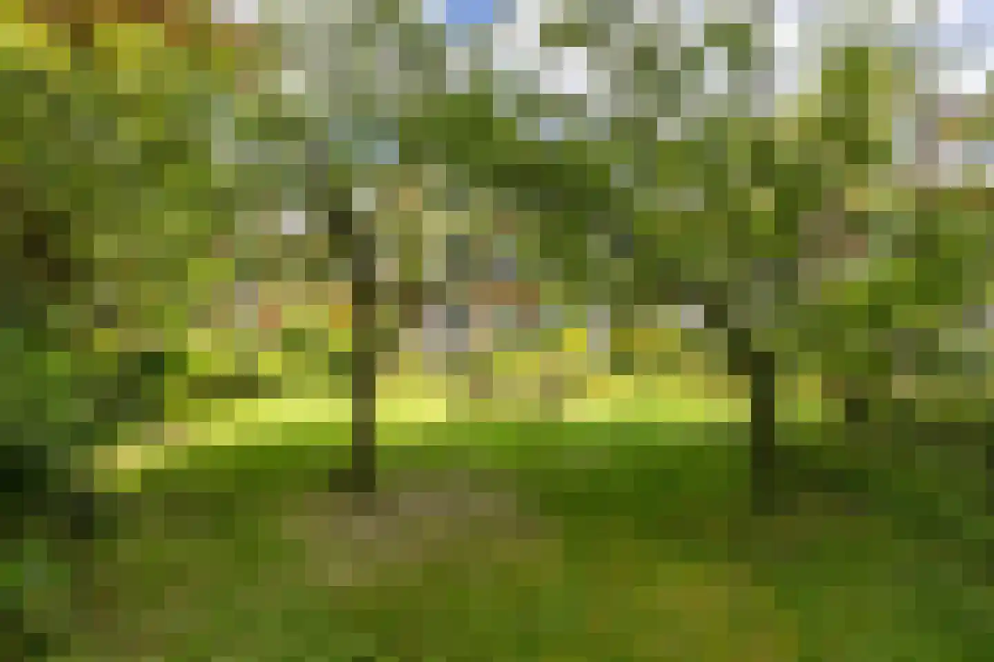 Van Houtenlaan 41 Groningen thumbnail 47