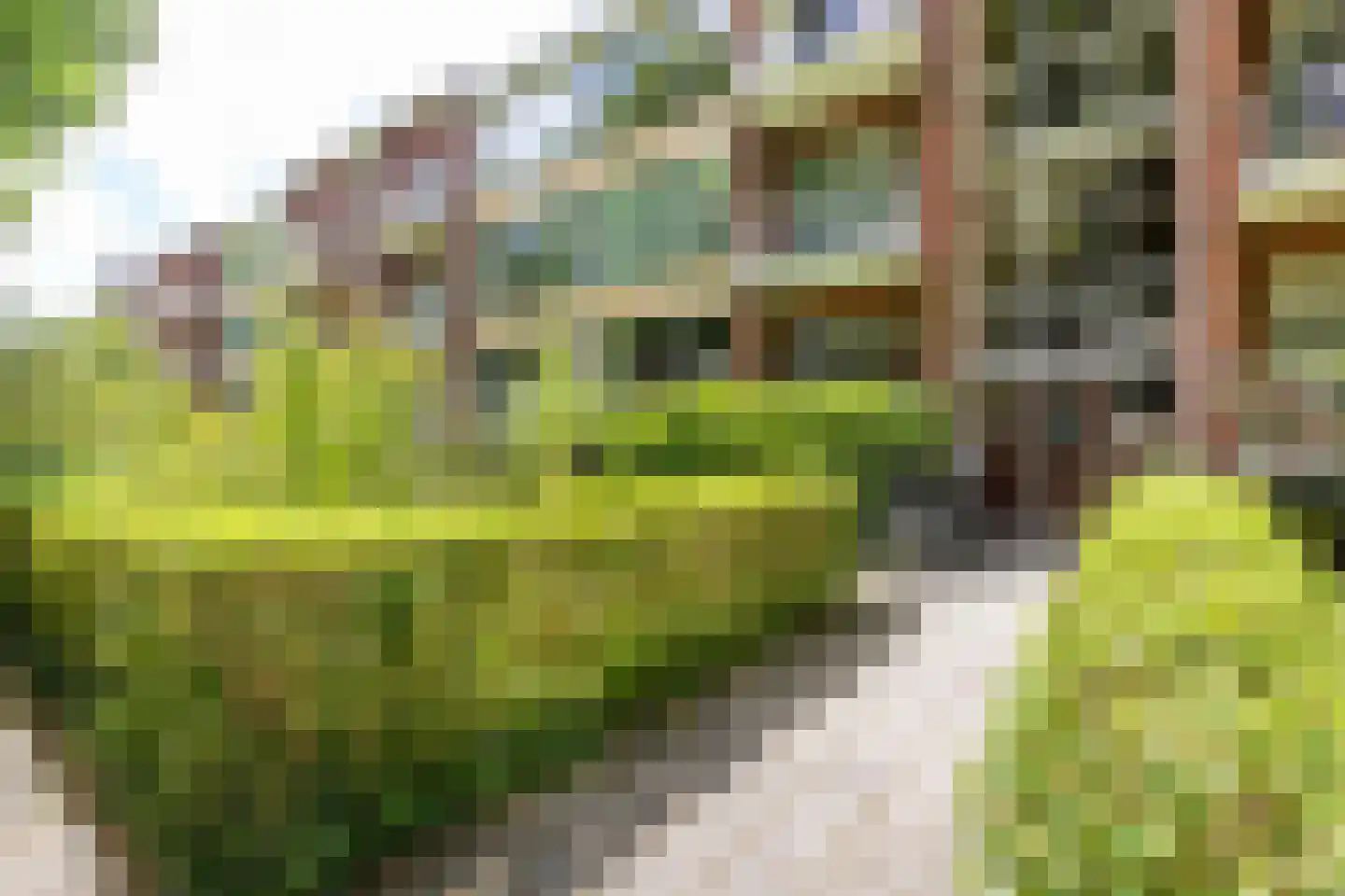 Van Houtenlaan 41 Groningen thumbnail 5