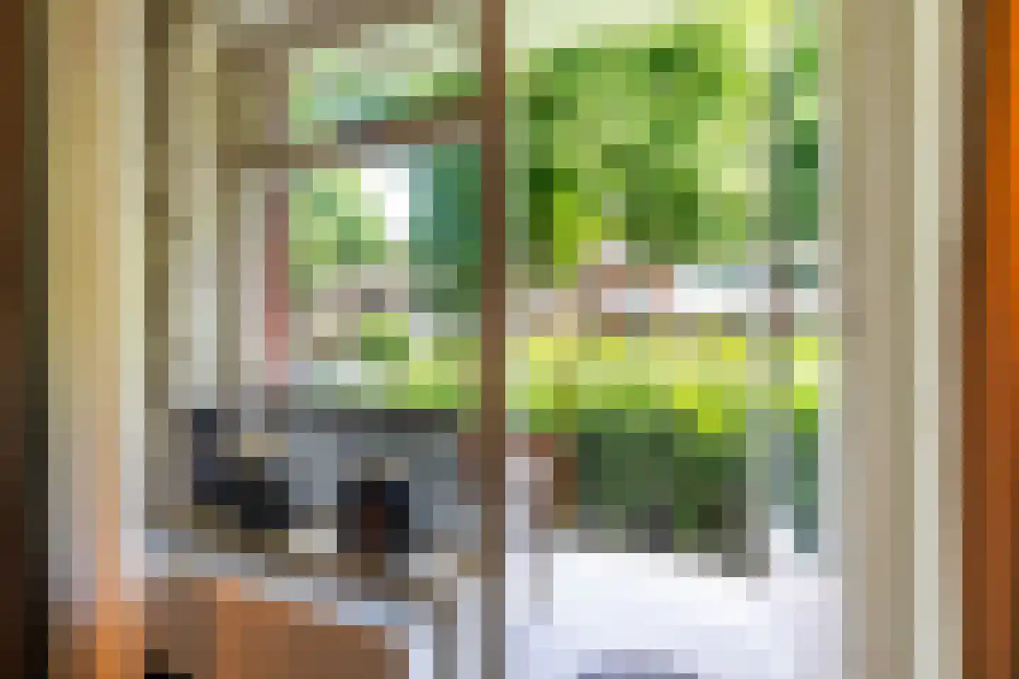 Van Houtenlaan 41 Groningen thumbnail 51