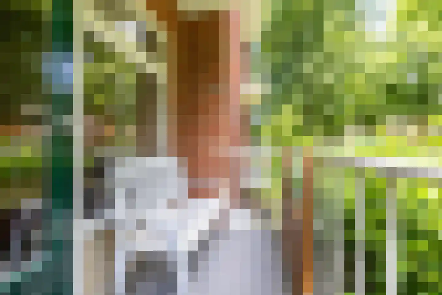 Van Houtenlaan 41 Groningen thumbnail 52