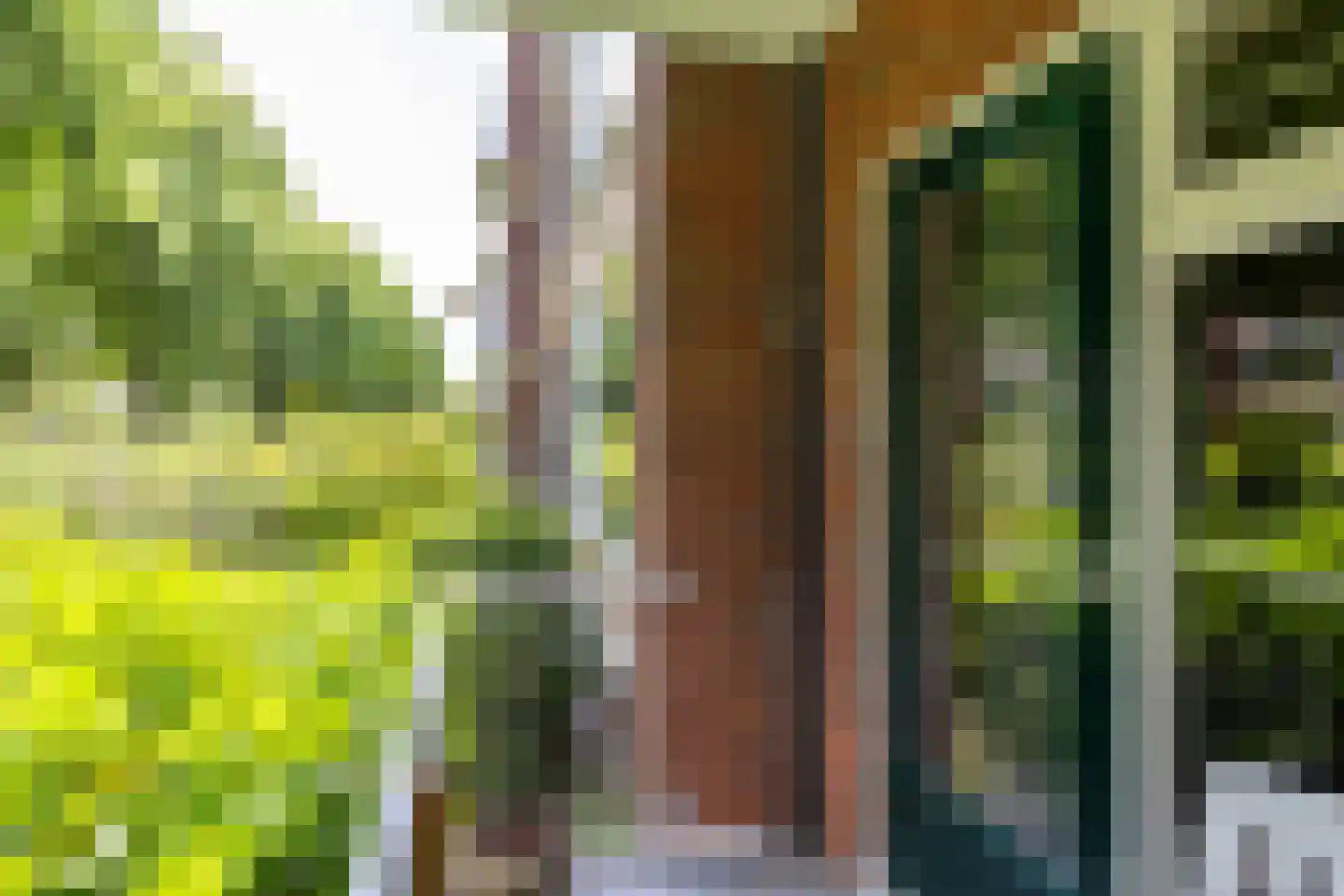 Van Houtenlaan 41 Groningen thumbnail 53