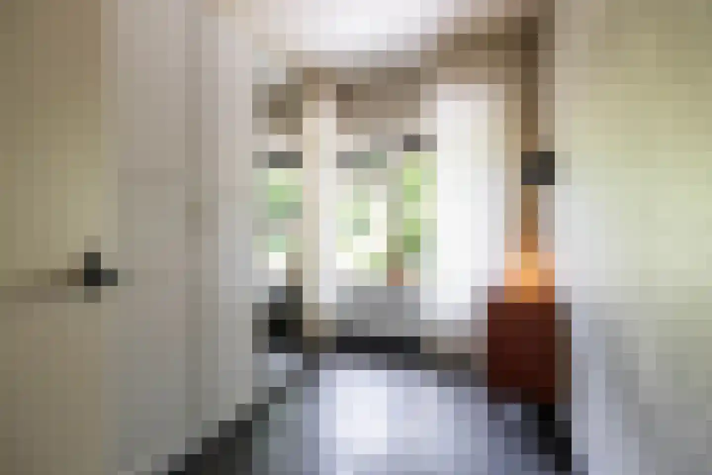 Van Houtenlaan 41 Groningen thumbnail 54