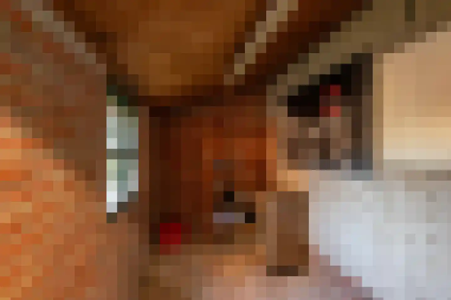 Van Houtenlaan 46 Groningen thumbnail 15