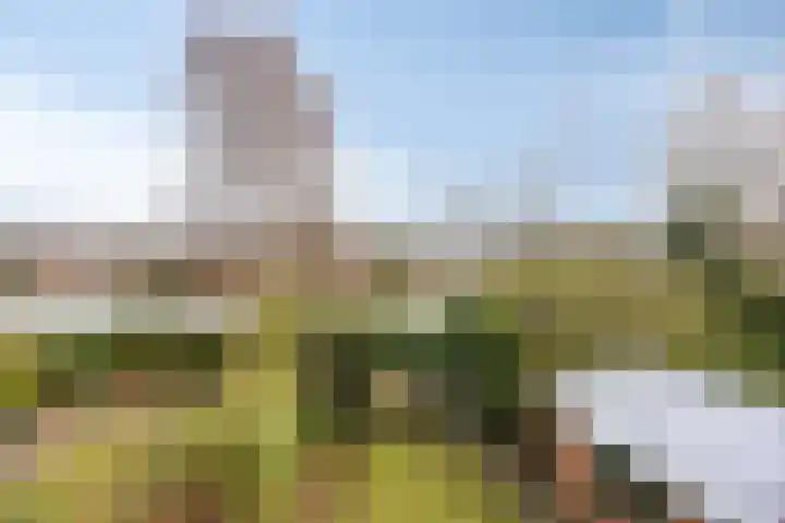 Van Houtenlaan 50 Groningen thumbnail 21