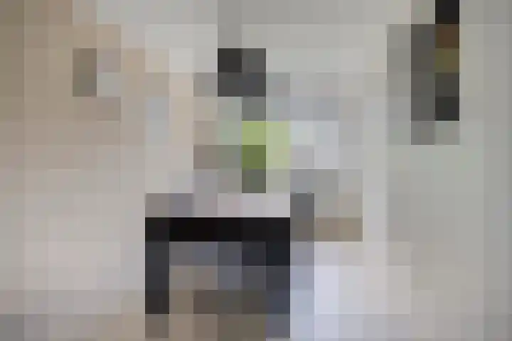 Van Houtenlaan 98 Groningen thumbnail 11