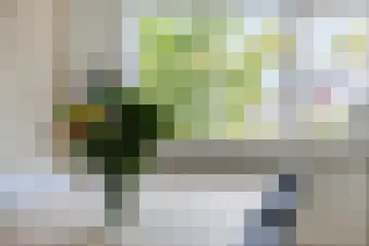 Van Houtenlaan 98 Groningen thumbnail 12