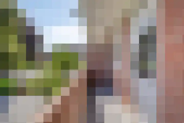 Van Houtenlaan 98 Groningen thumbnail 21
