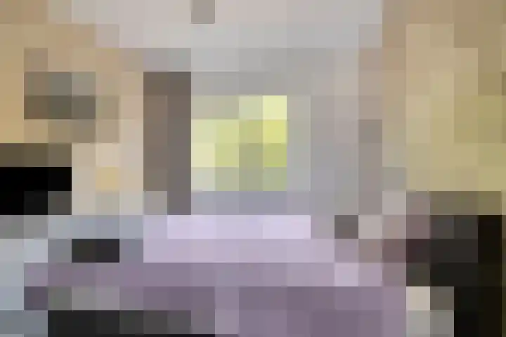 Van Houtenlaan 98 Groningen thumbnail 22