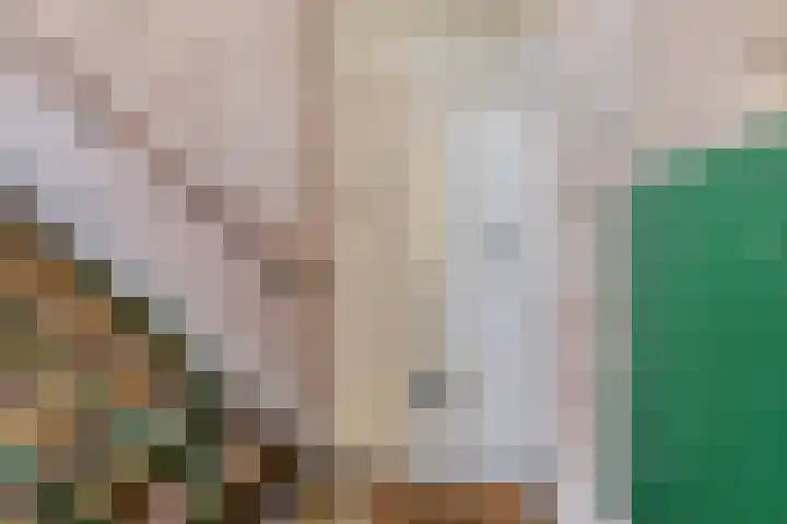 Van Houtenlaan 98 Groningen thumbnail 28