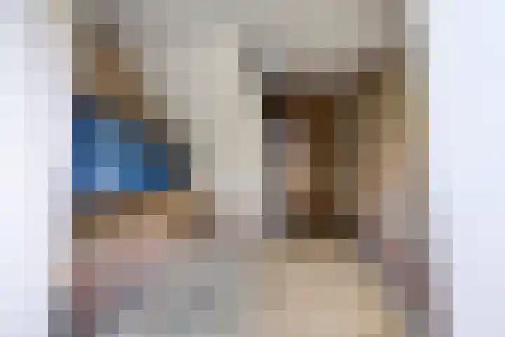 Van Houtenlaan 98 Groningen thumbnail 30