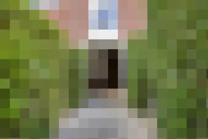 Van Houtenlaan 98 Groningen thumbnail 31