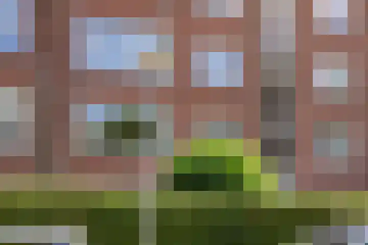 Van Houtenlaan 98 Groningen thumbnail 33