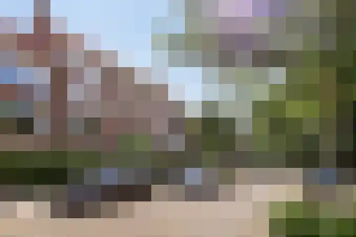 Van Houtenlaan 98 Groningen thumbnail 35