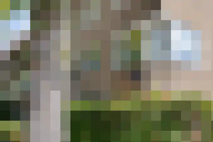 Van Houtenlaan 98 Groningen thumbnail 36