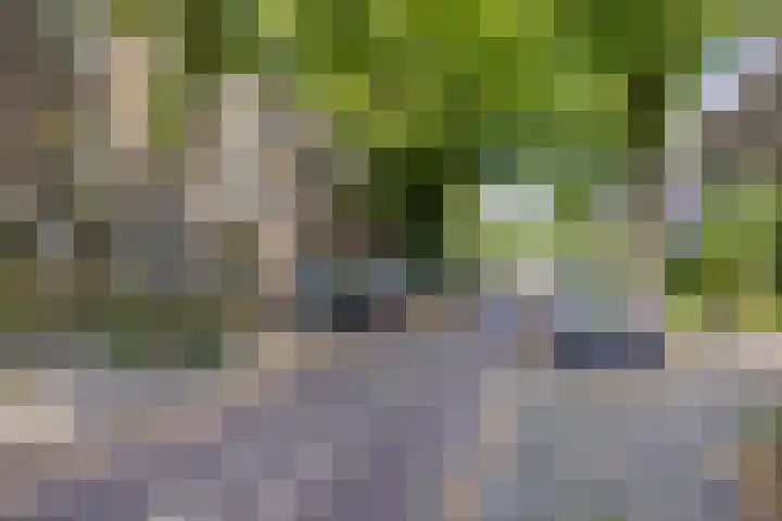 Van Houtenlaan 98 Groningen thumbnail 40