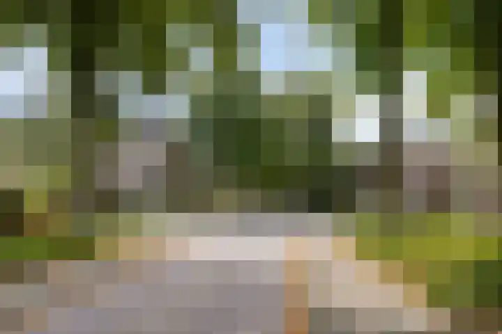 Van Houtenlaan 98 Groningen thumbnail 41