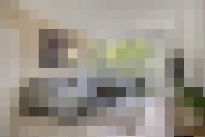 Van Houtenlaan 98 Groningen thumbnail 6