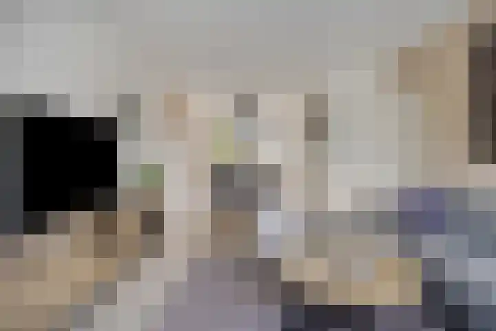 Van Houtenlaan 98 Groningen thumbnail 8