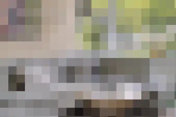 Van Houtenlaan 98 Groningen thumbnail 9