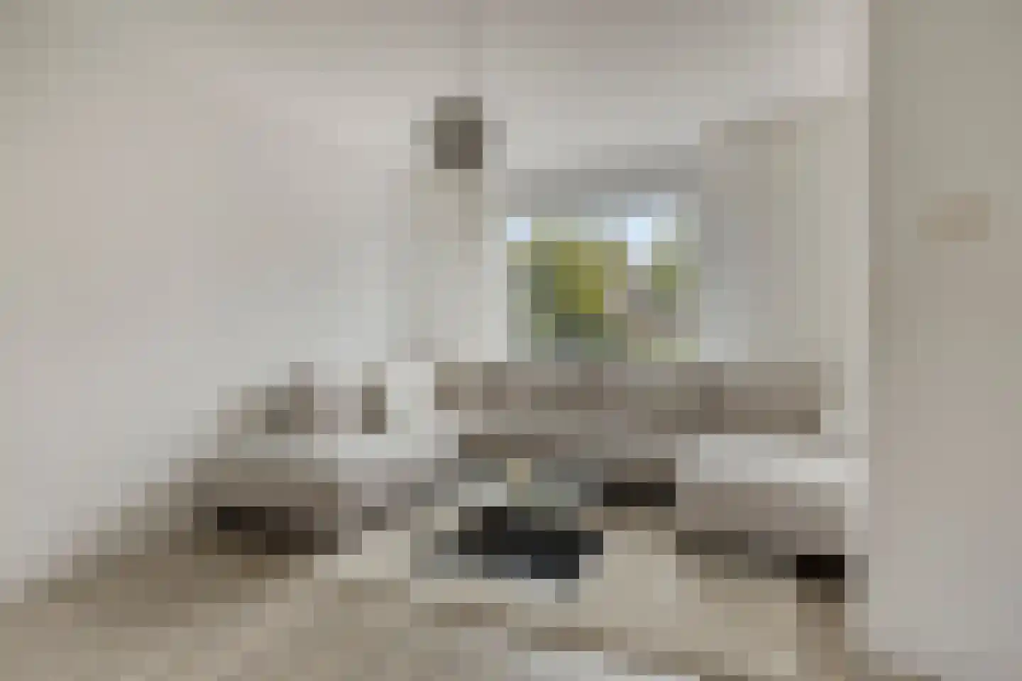 Van Houtenstraat 11 Bergen op Zoom thumbnail 13