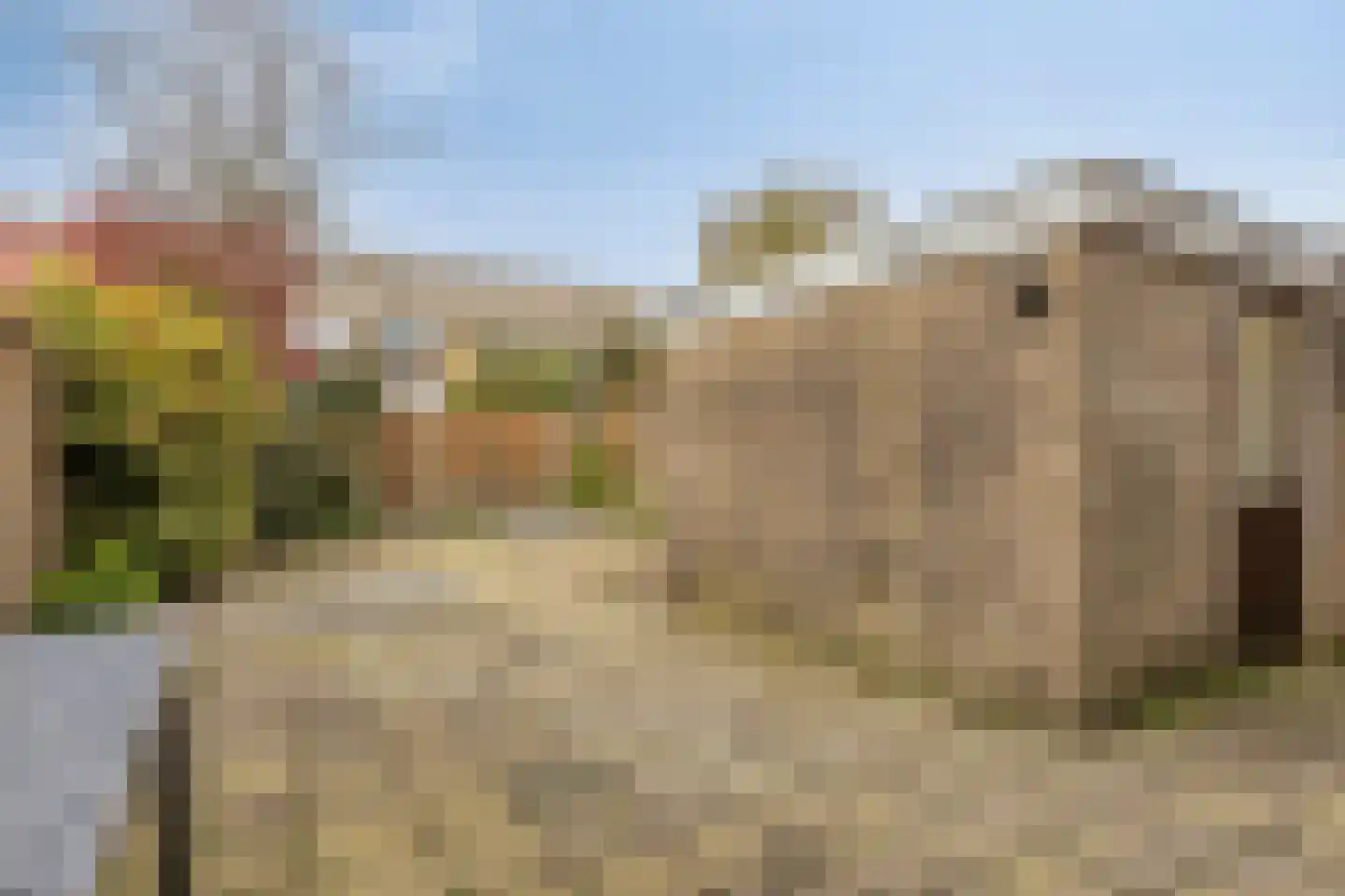 Van Houtenstraat 11 Bergen op Zoom thumbnail 39