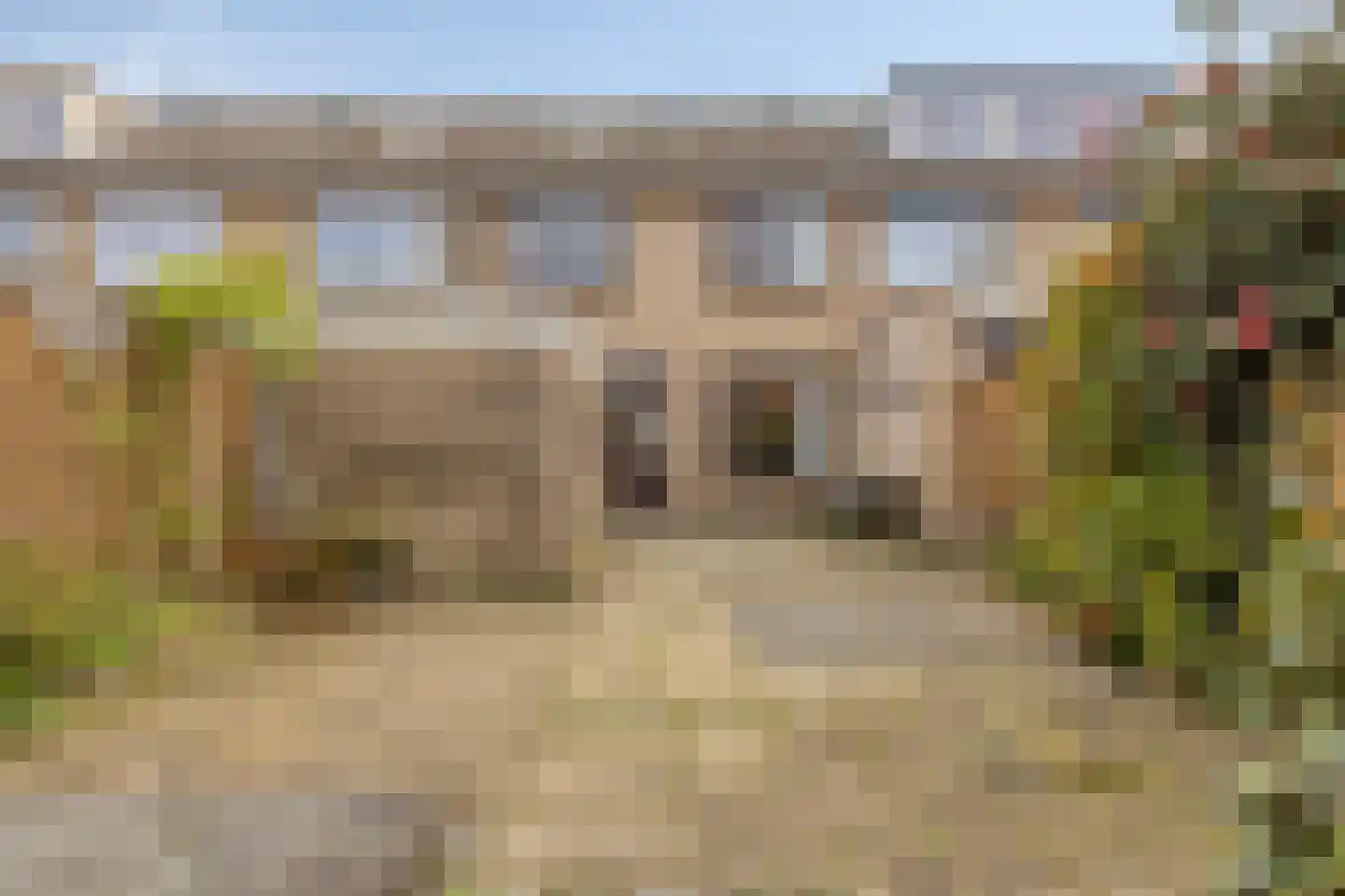 Van Houtenstraat 11 Bergen op Zoom thumbnail 7
