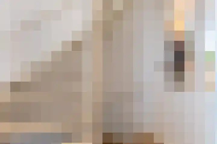 van Houtenstraat 11 Hoogerheide thumbnail 16