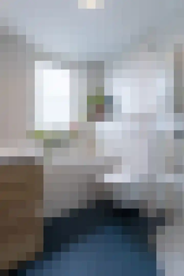 van Houtenstraat 11 Hoogerheide thumbnail 20