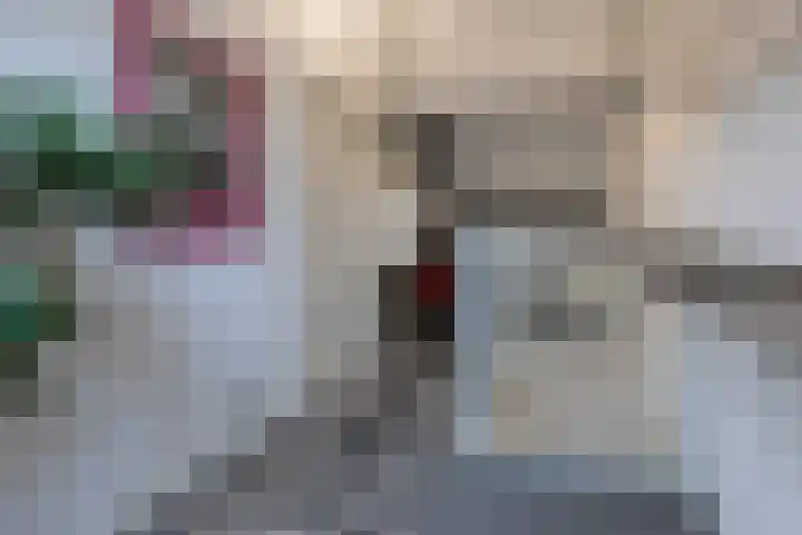 van Houtenstraat 11 Hoogerheide thumbnail 32