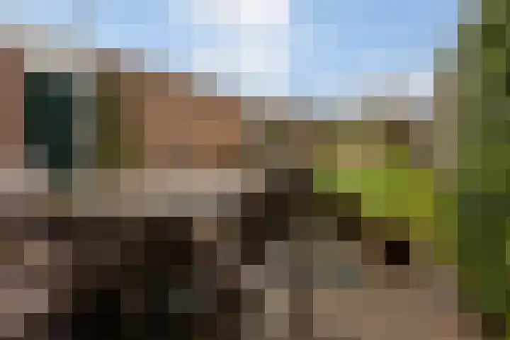van Houtenstraat 11 Hoogerheide thumbnail 43