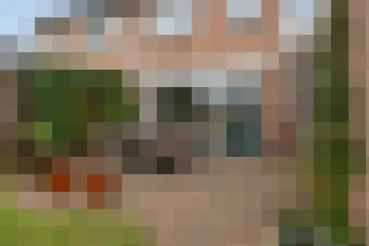 van Houtenstraat 11 Hoogerheide thumbnail 48