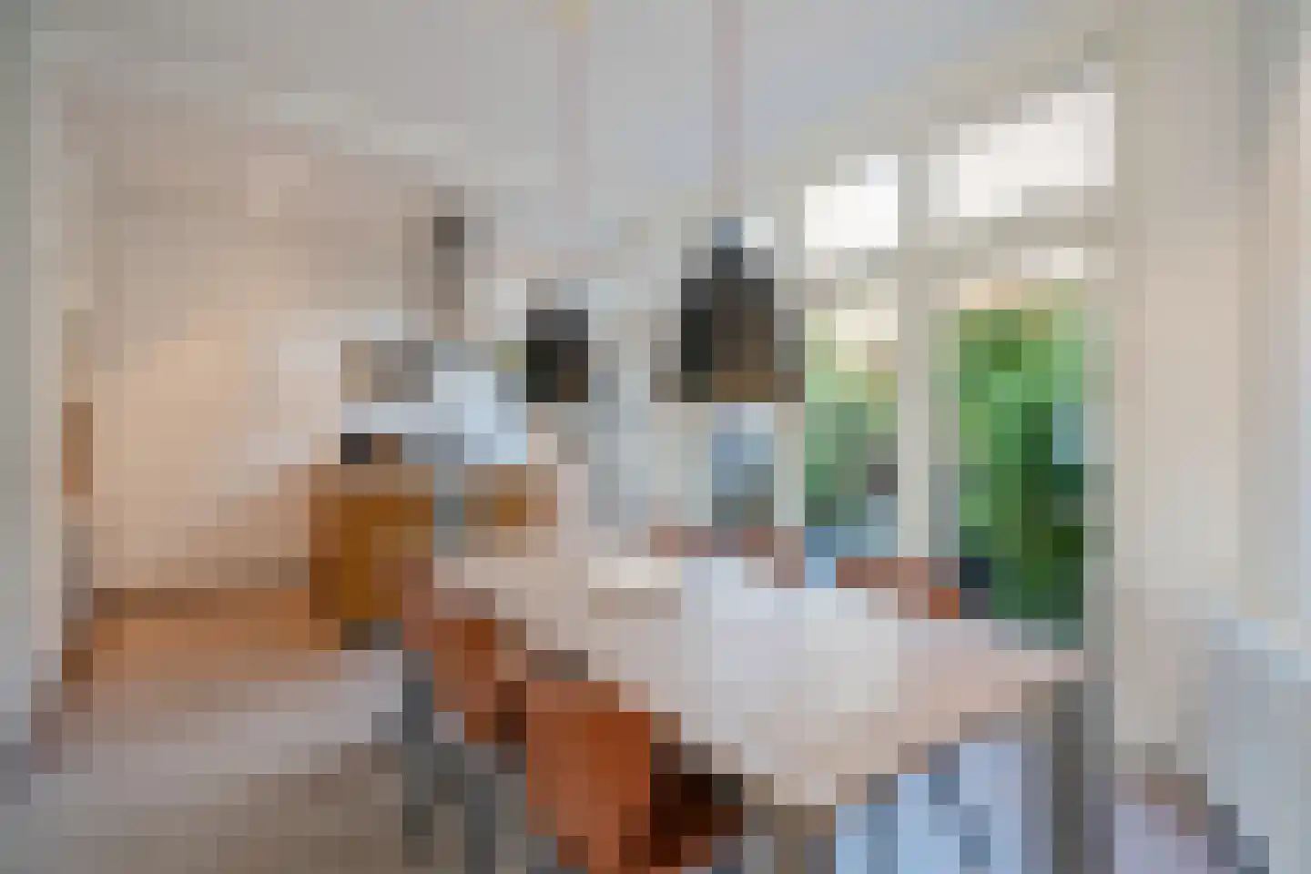 Van Houtenstraat 12 Delft thumbnail 15