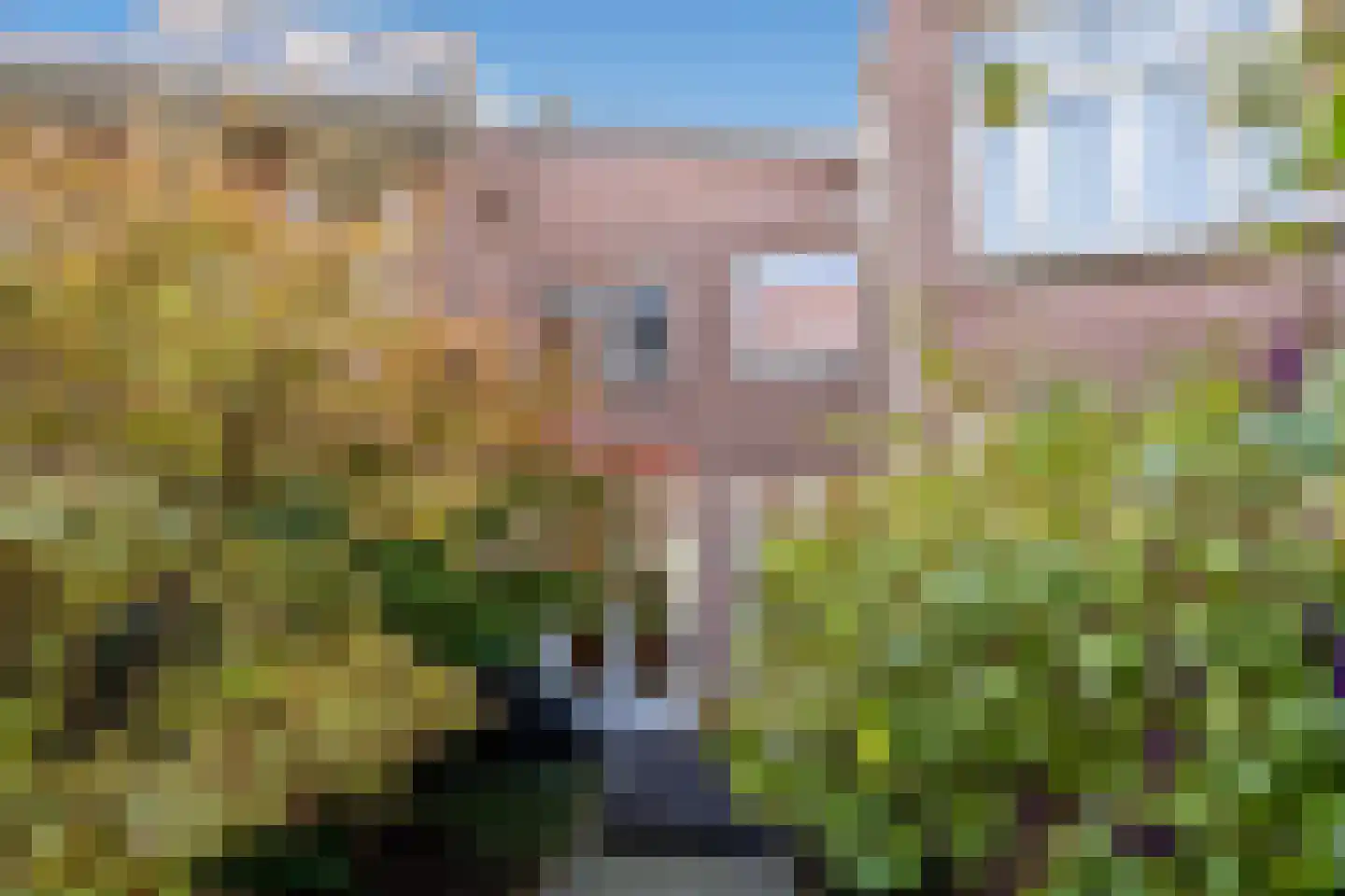 Van Houtenstraat 12 Delft thumbnail 22