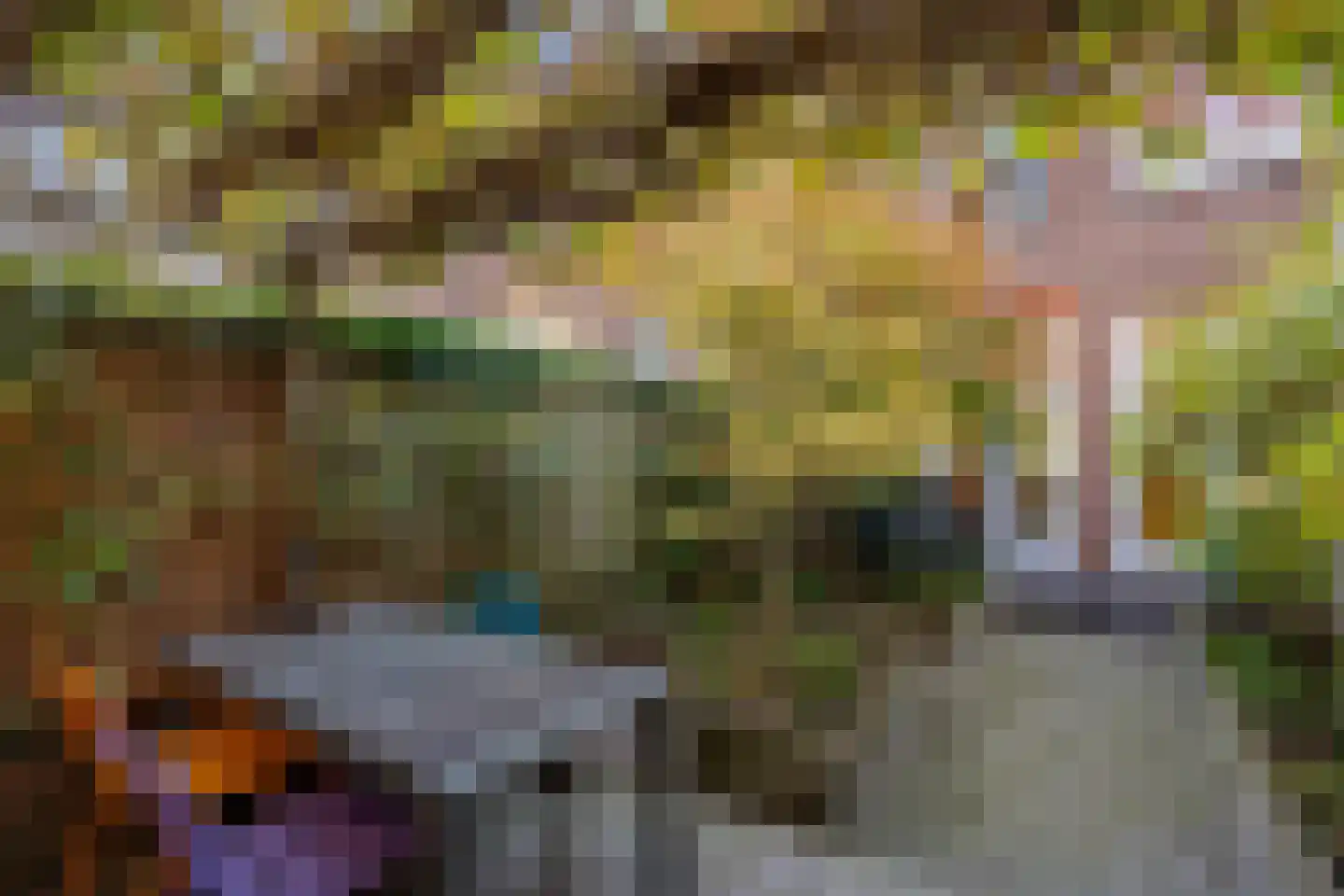 Van Houtenstraat 12 Delft thumbnail 4