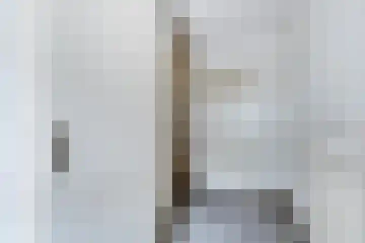 Van Houtenstraat 15 Spijkenisse thumbnail 10