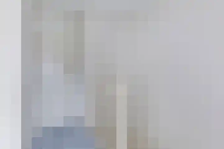 Van Houtenstraat 15 Spijkenisse thumbnail 11