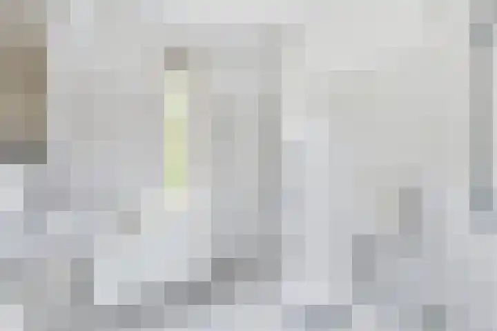 Van Houtenstraat 15 Spijkenisse thumbnail 14