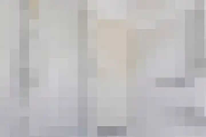 Van Houtenstraat 15 Spijkenisse thumbnail 15